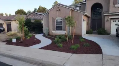 Design A Dream Landscape Co. - Tree & Shrub Care in Fresno, CA