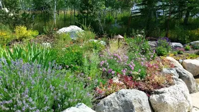 Novus Landscape - Tree & Shrub Care in Steamboat Springs, CO