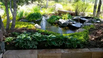 Novus Landscape - Tree & Shrub Care in Steamboat Springs, CO