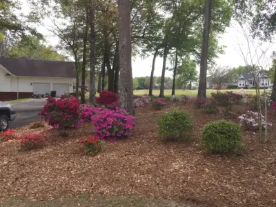 Creativescapes - Tree & Shrub Care in Glennville, GA
