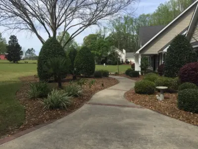Creativescapes - Tree & Shrub Care in Glennville, GA