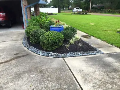 M & M Lawn & Irrigation - Tree & Shrub Care in Lake Charles, LA