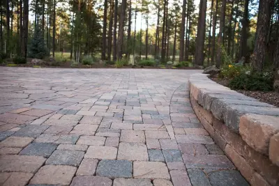 Tim's Landscape Creations - Tree & Shrub Care in Show Low, AZ