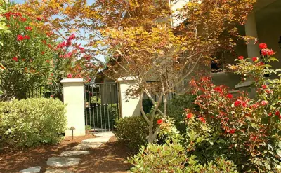 Plant Systems Landscape - Patio Design & Installation in Visalia, CA