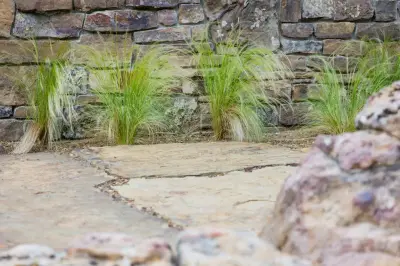 Fayetteville Home — Landscape Construction project by Professional Landscaping Company