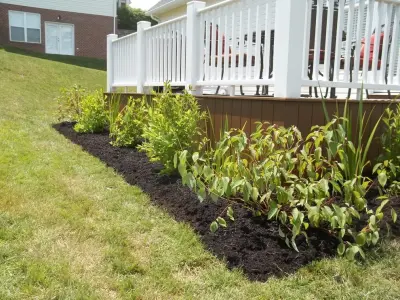 Lavalette Landscaping - Landscape Construction in Lavalette, WV