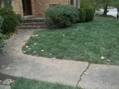 Lavalette Landscaping - Landscape Construction in Lavalette, WV