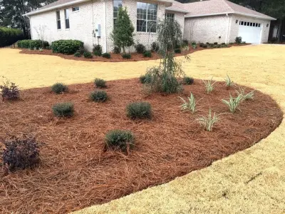 Wyscape, LLC - Deck Building & Repair in Niceville, FL