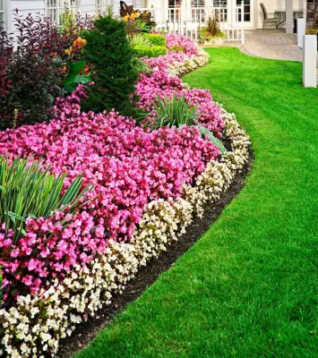 Kountry Kuts Landscaping - Tree & Shrub Care in Mount Pleasant, TX