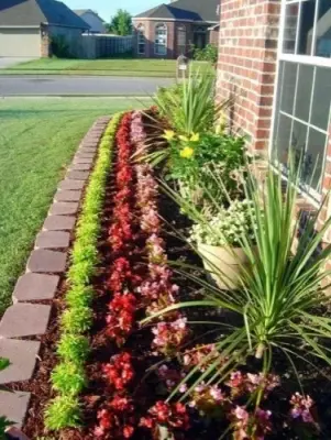 Kountry Kuts Landscaping - Tree & Shrub Care in Mount Pleasant, TX