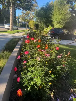 Farmers Landscape Tree Care - Landscape Construction in Los Angeles, CA