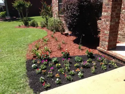 Focus Lawn & Landscape - Tree & Shrub Care in Panama City, FL