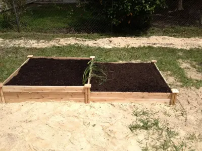 Focus Lawn & Landscape - Tree & Shrub Care in Panama City, FL