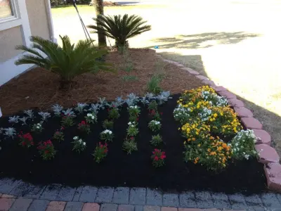 Focus Lawn & Landscape - Tree & Shrub Care in Panama City, FL