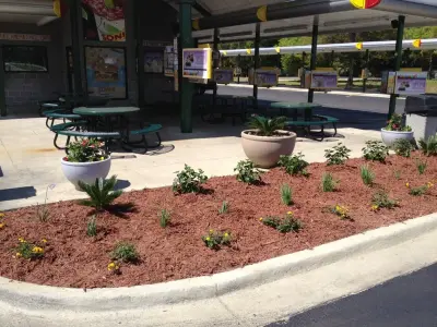 Focus Lawn & Landscape - Tree & Shrub Care in Panama City, FL