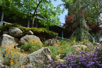 Hillside Property — Landscape Construction project by Kaylor Landscape + Christmas Decor