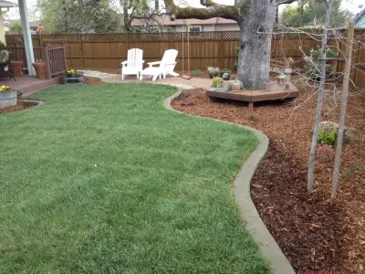 Forest Design - Custom Home Builders in Redding, CA