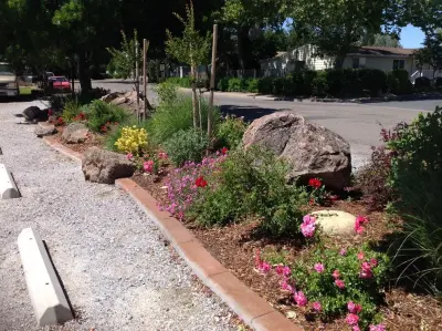 Forest Design - Custom Home Builders in Redding, CA