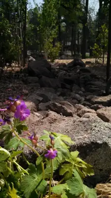 Warner's Landscape Company - Commercial Construction Services in Flagstaff, AZ