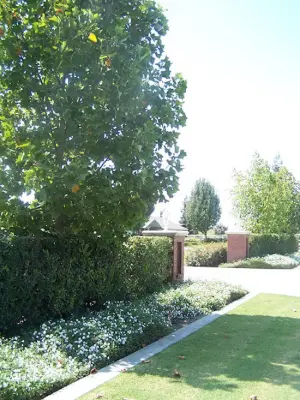 Plant Systems Landscape - Patio Design & Installation in Visalia, CA