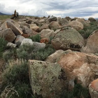 Frederick Landscaping - Tree & Shrub Care in Jackson, WY