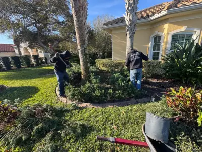 Palomares Landscaping LLC - Tree Planting & Transplanting in Palm Coast, FL