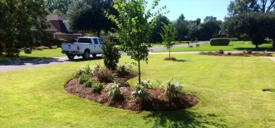 M & M Lawn & Irrigation - Tree & Shrub Care in Lake Charles, LA