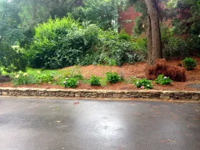 Olive Branch Full Exterior Renovation — Landscape Construction project by Mid-South Curb Appeal, LLC