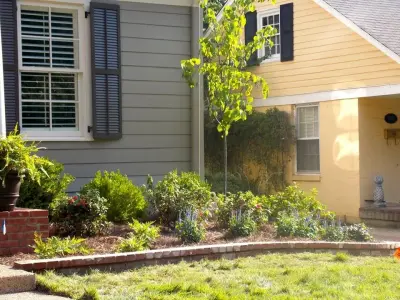 East Memphis Total Outdoor Renovation — Landscape Construction project by Mid-South Curb Appeal, LLC