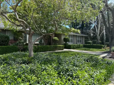 R&D Landscaping - Tree & Shrub Care in Denair, CA