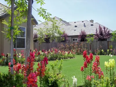 Parker Landscape, Inc - Tree & Shrub Care in Fresno, CA