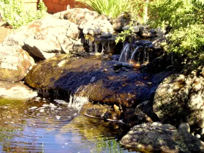 Parker Landscape, Inc - Tree & Shrub Care in Fresno, CA