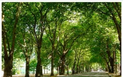 Green Stuff Outdoor Services - Landscape Construction in Plymouth, IN