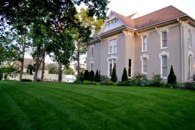 No Lawn Left Behind - Tree & Shrub Care in Perry, IA