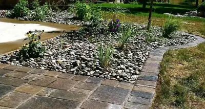 No Lawn Left Behind - Tree & Shrub Care in Perry, IA