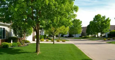 No Lawn Left Behind - Tree & Shrub Care in Perry, IA