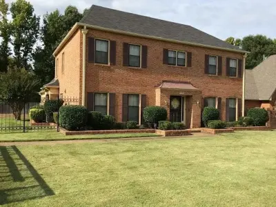 Camp Lawn Care, Landscaping, & Tree Services - Tree & Shrub Care in Hernando, MS