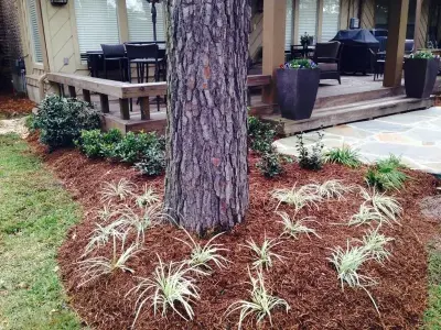 James Hilliard & Sons Landscaping - Landscape Construction in Lufkin, TX