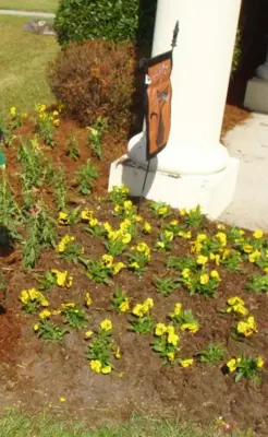 Bonin's Lawn Service - Tree & Shrub Care in Lafayette, LA