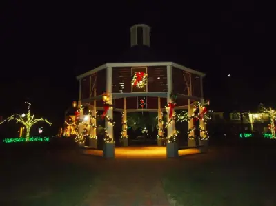 Bonin's Lawn Service - Tree & Shrub Care in Lafayette, LA