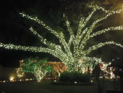 Bonin's Lawn Service - Tree & Shrub Care in Lafayette, LA