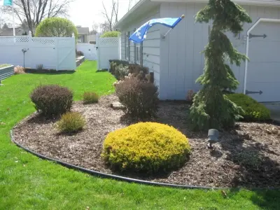 All Green Landscaping - Tree Planting & Transplanting in Olean, NY