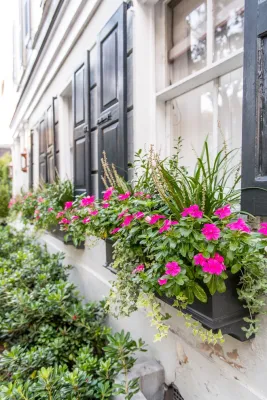 Southern Grandeur — Landscape Design project by Carolina Landscape, Inc.