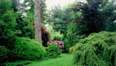 Plumline Nursery Inc - Landscape Construction in Murrysville, PA