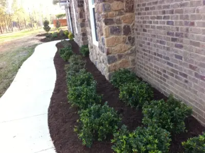 Spencer Landscapes And Designs, LLC - Tree Planting & Transplanting in Amory, MS