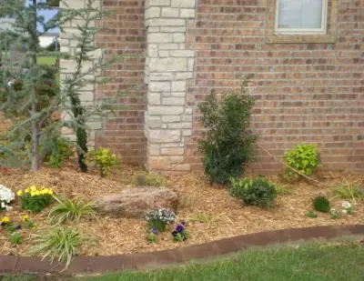 Miller Lawn Care - Tree Planting & Transplanting in Altus, OK