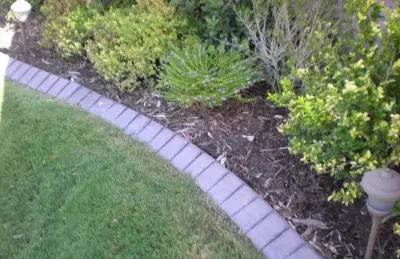 Miller Lawn Care - Tree Planting & Transplanting in Altus, OK