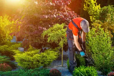 Forbes General Landscaping - Landscape Construction in Oswego, NY