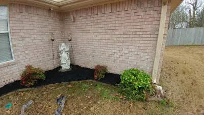 Wilson Services - Tree & Shrub Care in Bartlett, IL
