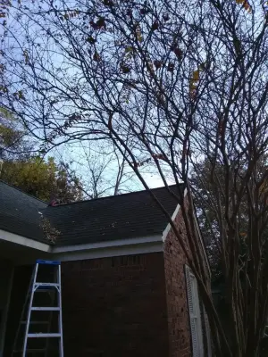 Wilson Services - Tree & Shrub Care in Bartlett, IL